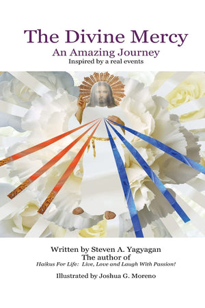 The Divine Mercy: An Amazing Journey,Used