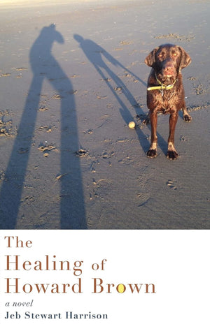 The Healing of Howard Brown: A Novel,Used