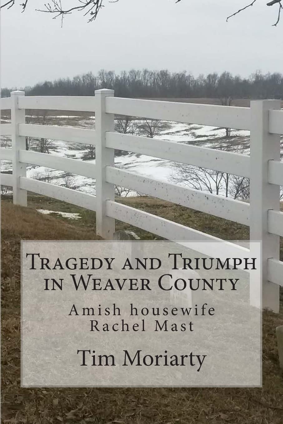 Tragedy and Triumph in Weaver County: Amish Housewife Rachel Mast (The Amish of Weaver County),Used