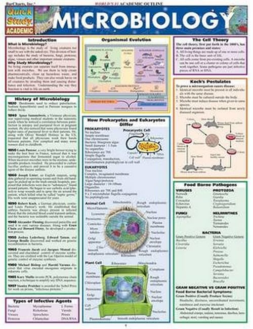 Microbiology (Quickstudy Reference Guides  Academic),Used