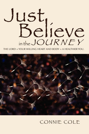 Just Believe In The Journey,Used