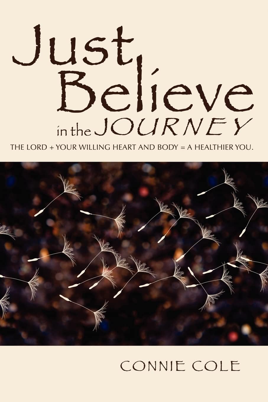 Just Believe In The Journey,Used