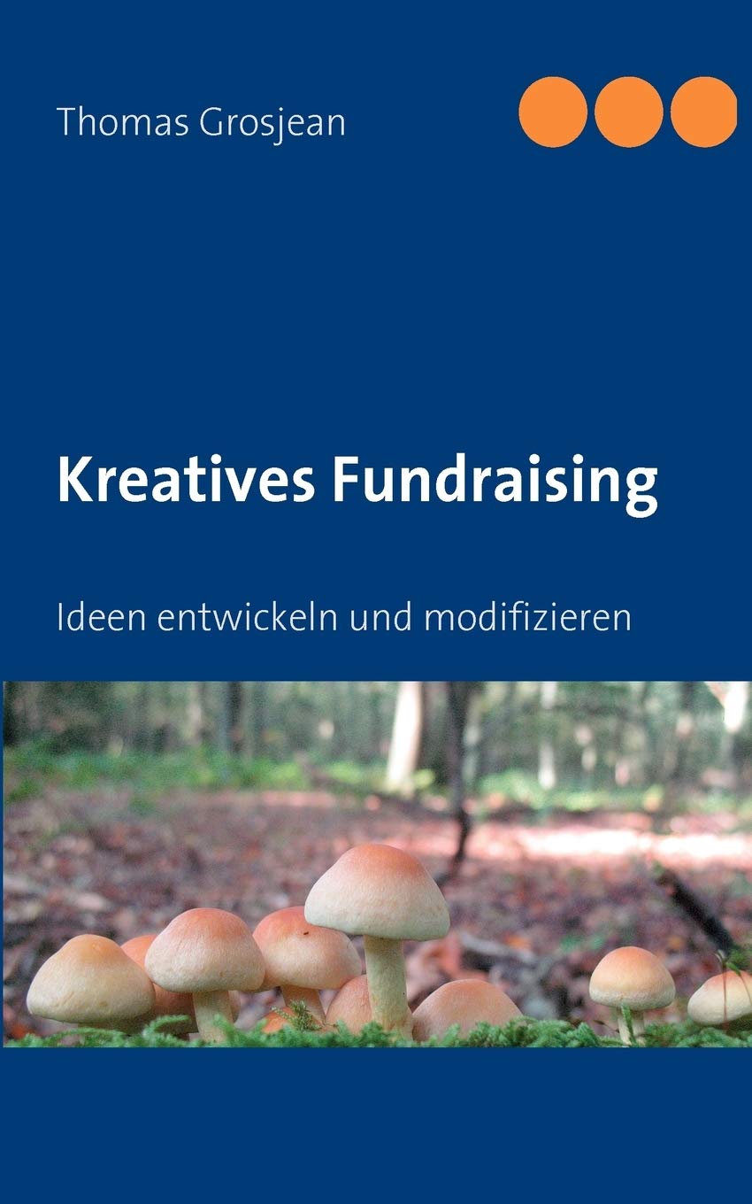 Kreatives Fundraising: Ideen entwickeln und modifizieren (German Edition),Used