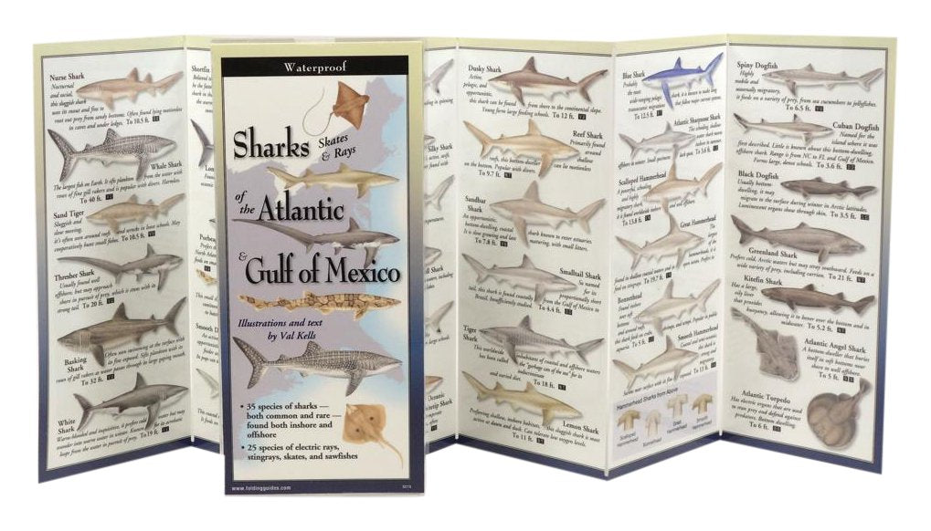 The Ultimate Guide to Sharks of the Atlantic & Gulf of Mexico,Used