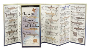 The Ultimate Guide to Sharks of the Atlantic & Gulf of Mexico,Used
