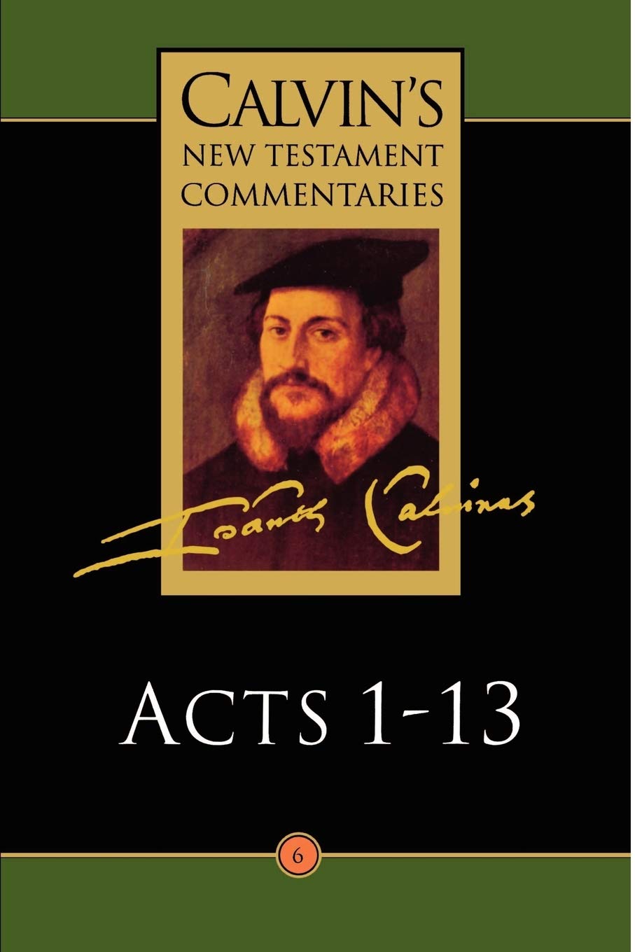 Calvin's New Testament Commentaries, Volume 6: Acts 113 (Calvin's New Testament Commentaries (Cntc)),New