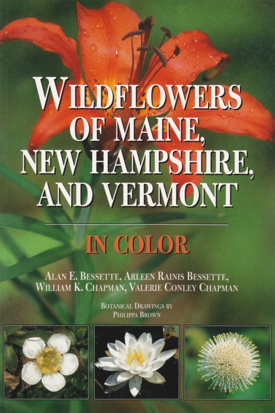 Wildflowers of Maine, New Hampshire, and Vermont in Color,Used