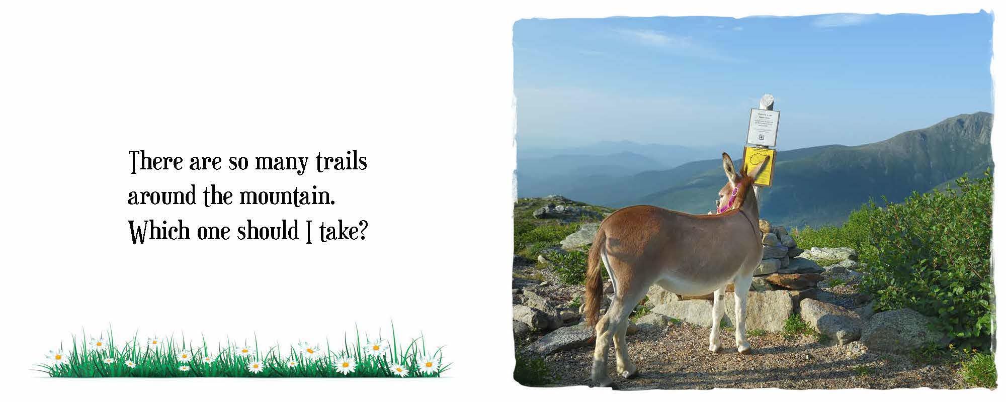 Take A Hike! A DonkeyDonk Story (DonkeyDonk Series, Book 3) (The DonkeyDonk Series),Used