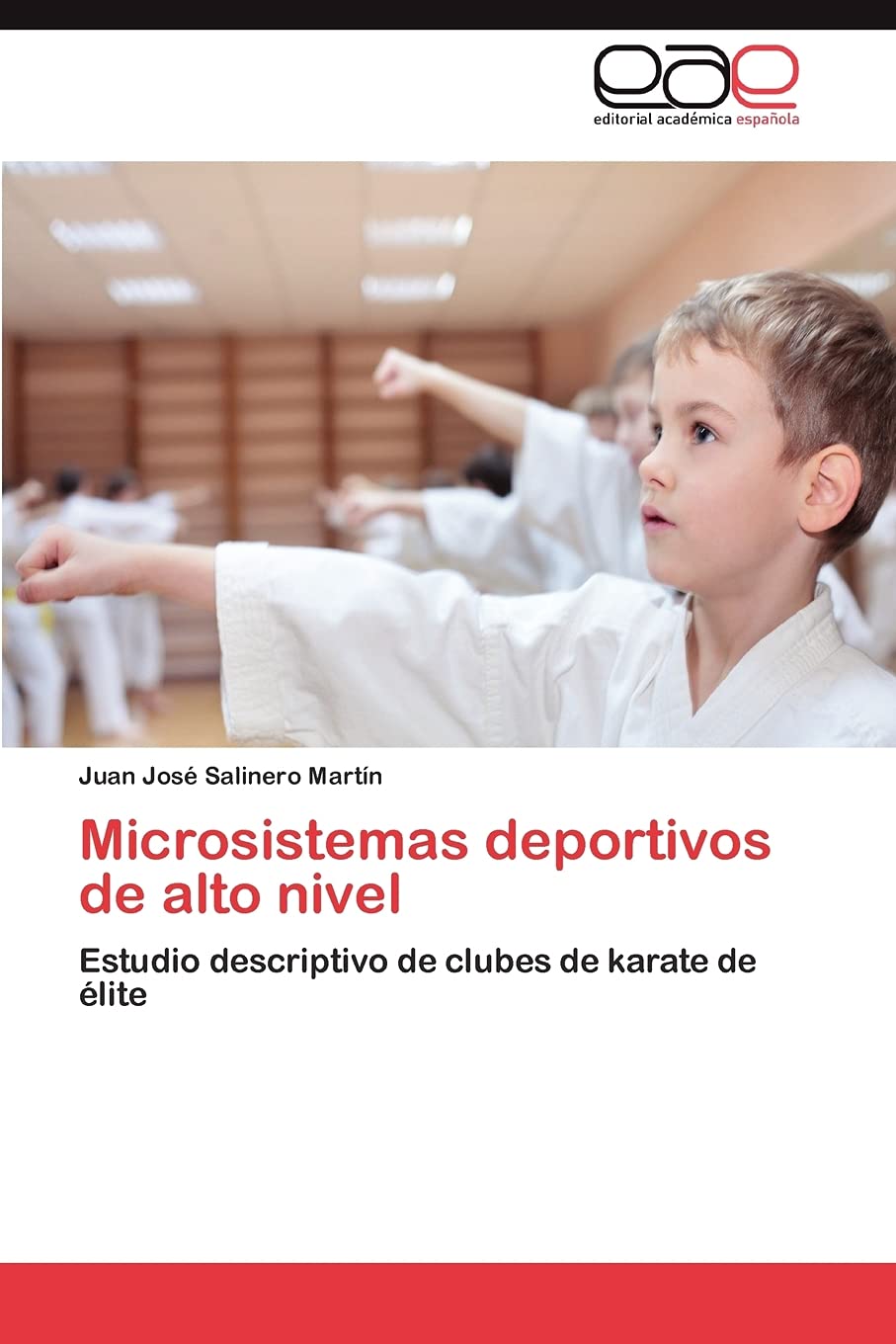 Microsistemas deportivos de alto nivel: Estudio descriptivo de clubes de karate de lite (Spanish Edition),Used