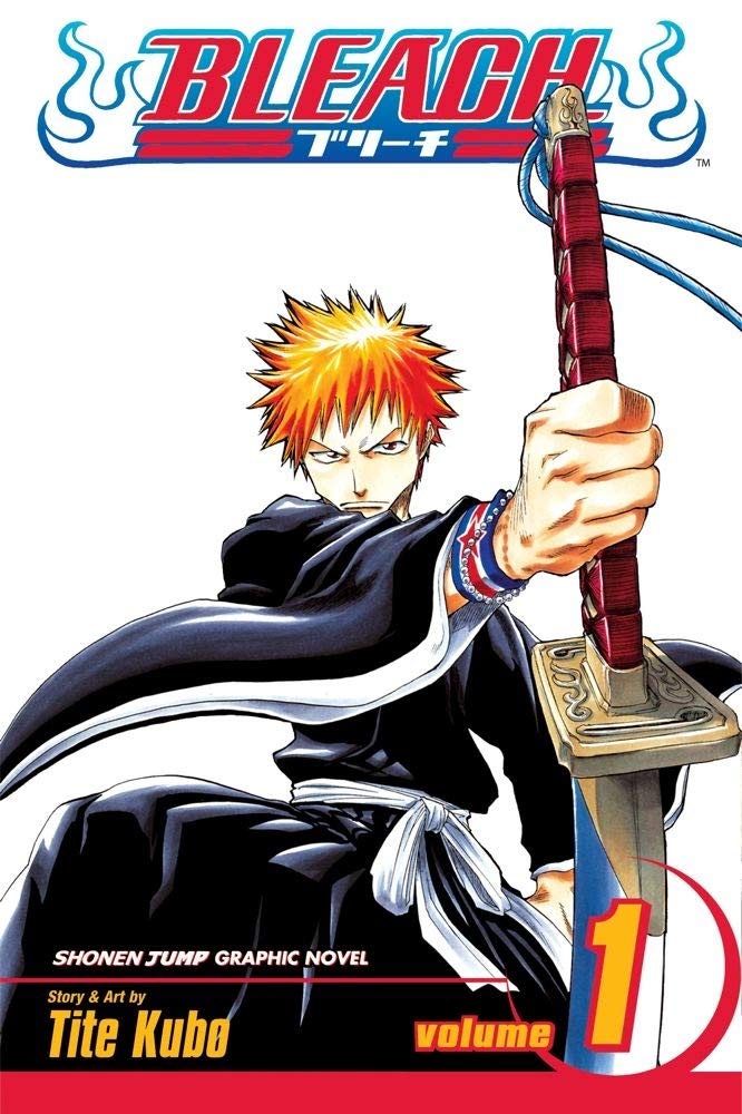 Bleach, Vol. 1,New