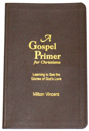 A Gospel Primer for Christians: Learning to See the Glories of God's Love,Used