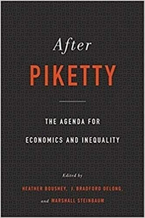After Piketty: The Agenda for Economics and Inequality,Used