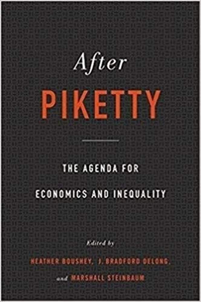 After Piketty: The Agenda for Economics and Inequality,Used