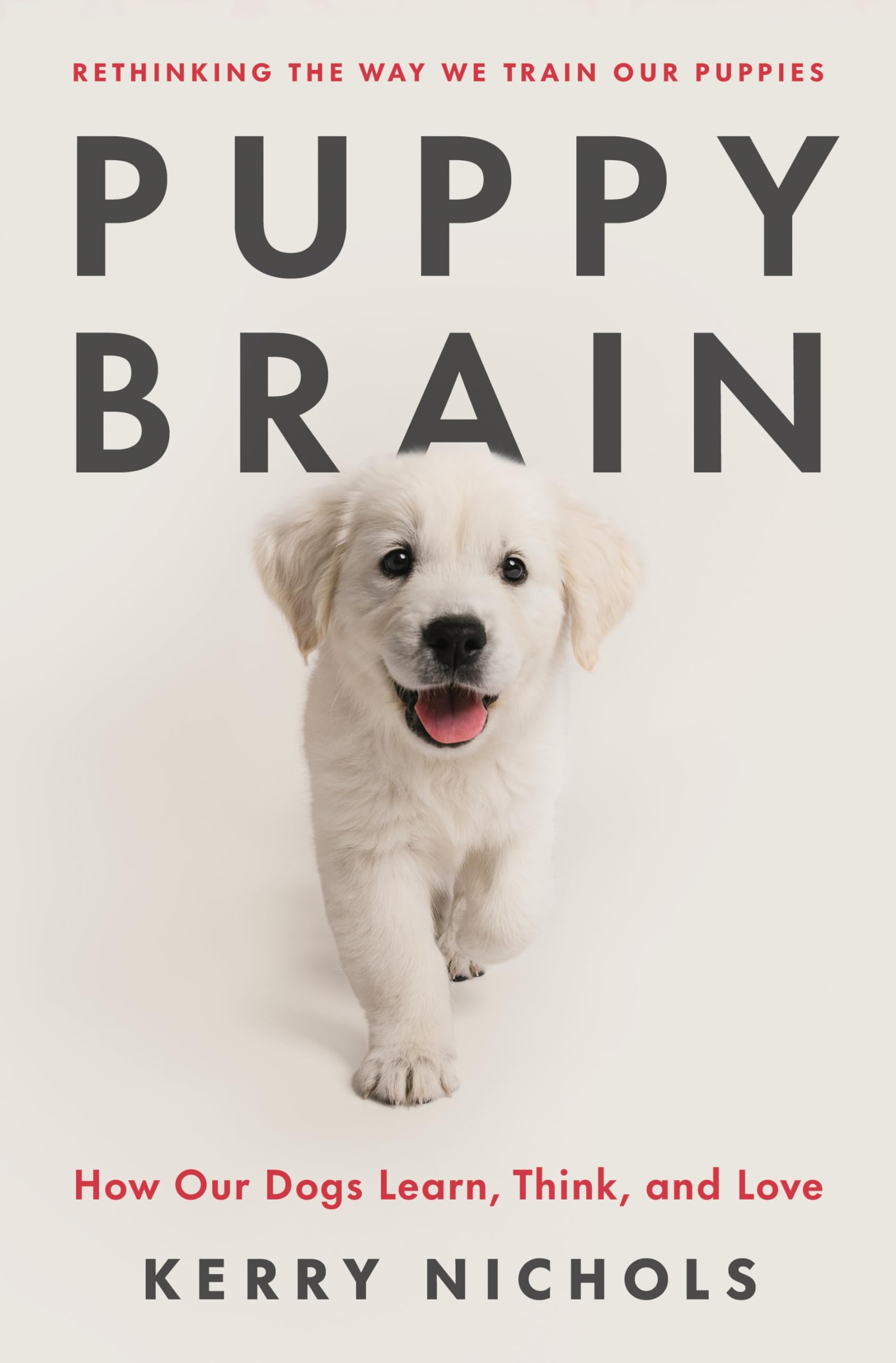 Puppy Brain: How Our Dogs Learn, Think, And Love