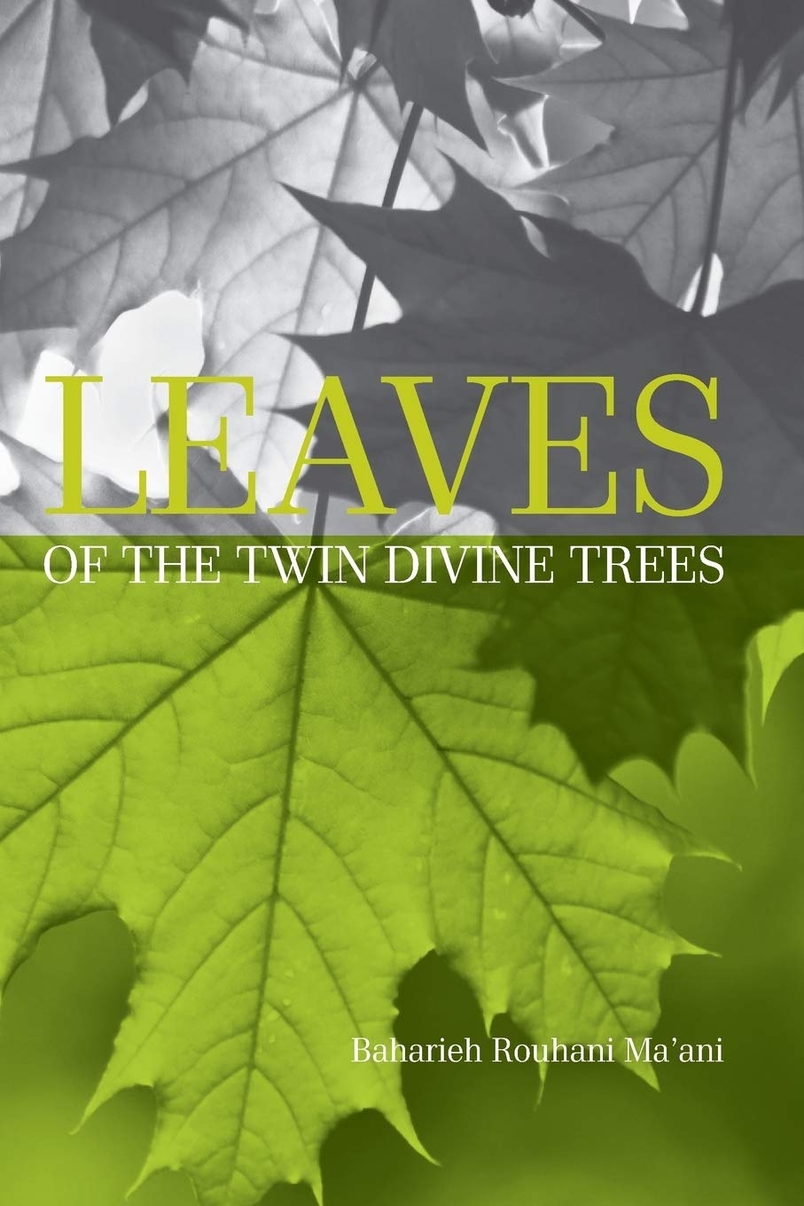 Leaves of the Twin Divine Trees,Used