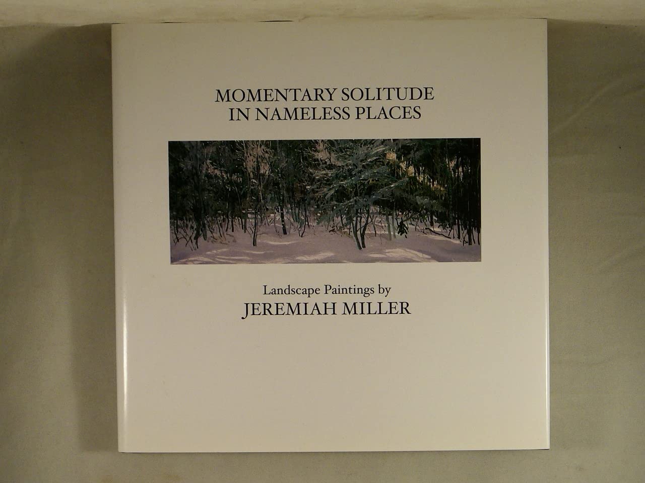 Momentary Solitude in Nameless Places: Landscape Paintings,Used