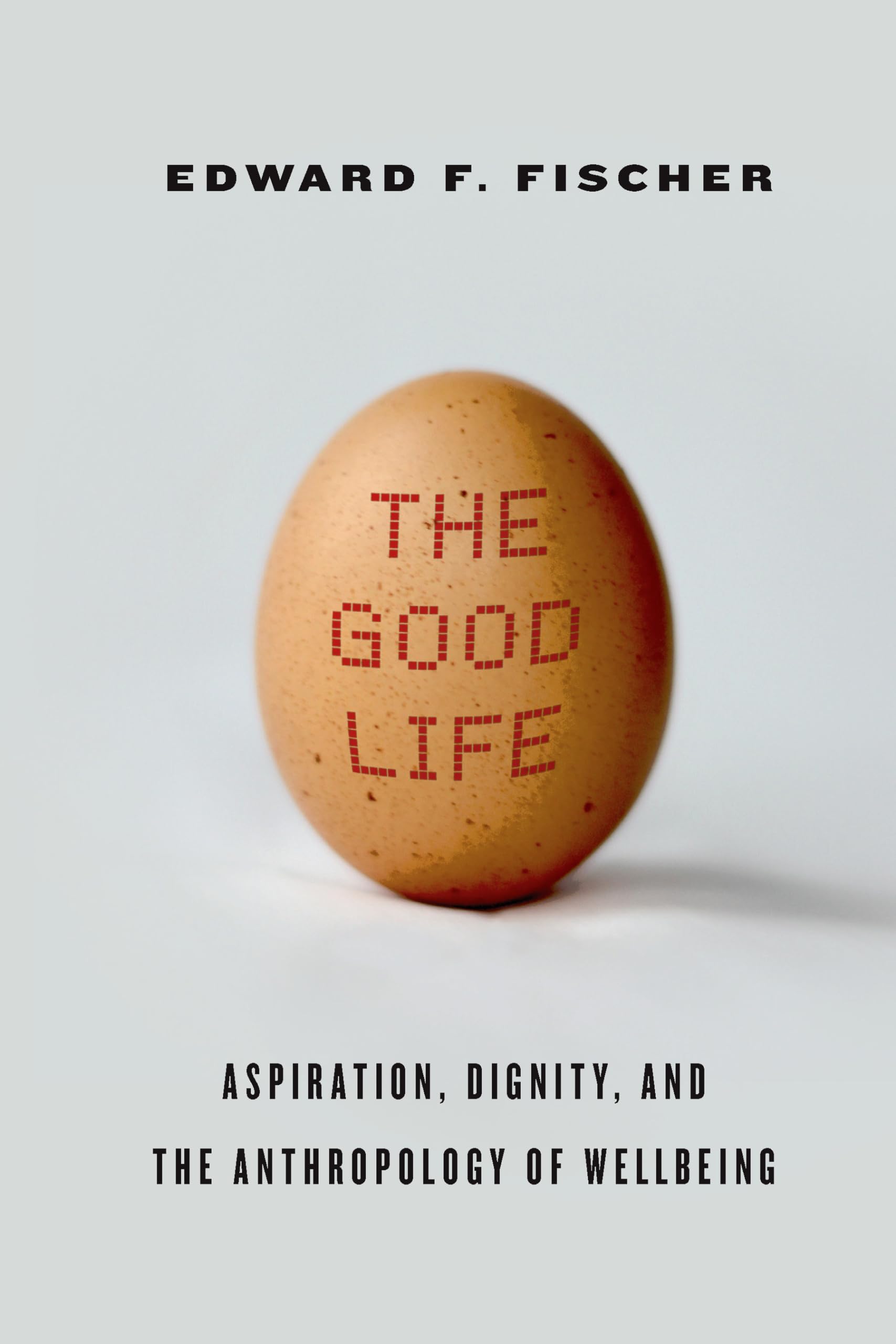 The Good Life: Aspiration, Dignity, and the Anthropology of Wellbeing,Used