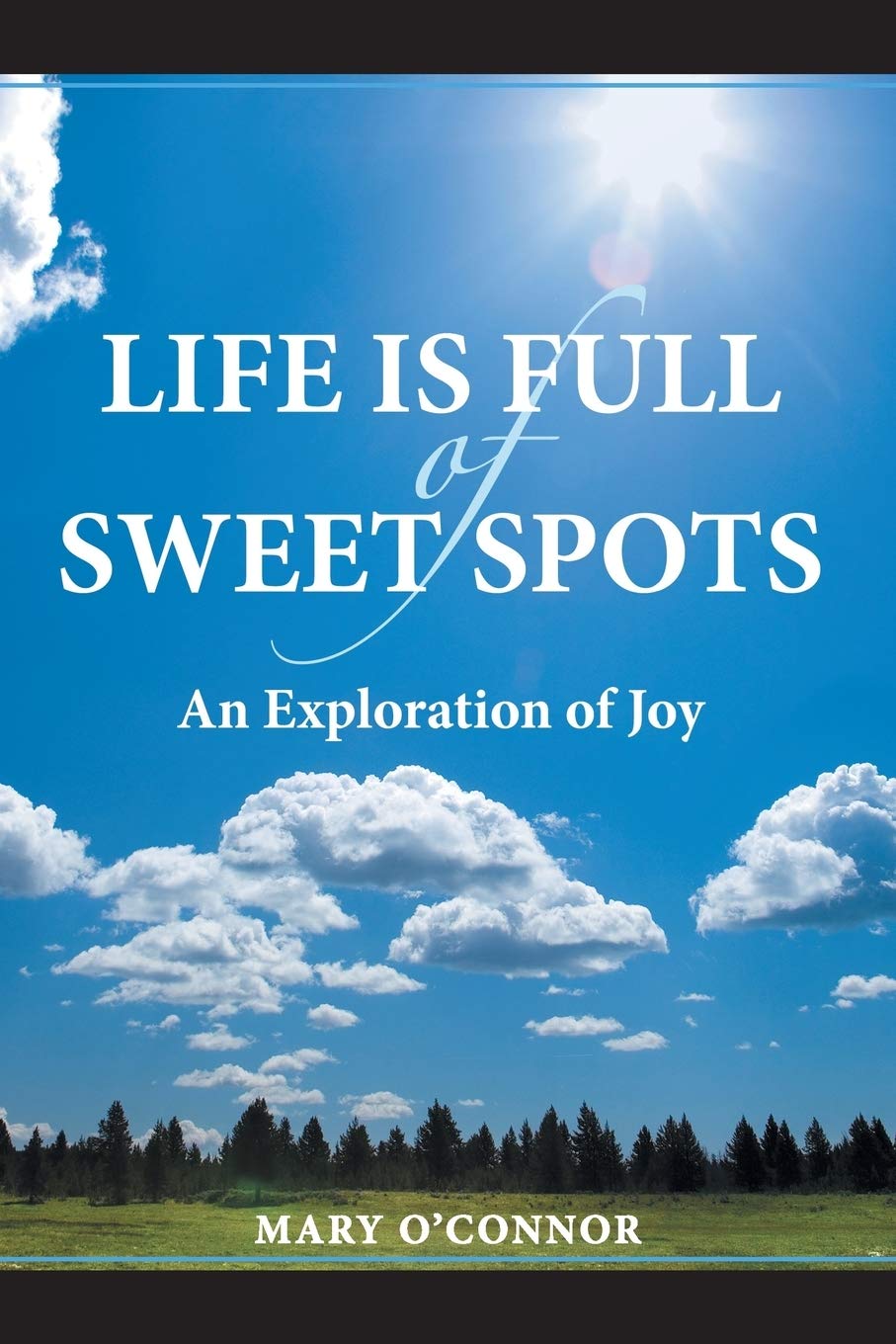 Life Is Full Of Sweet Spots: An Exploration Of Joy,Used