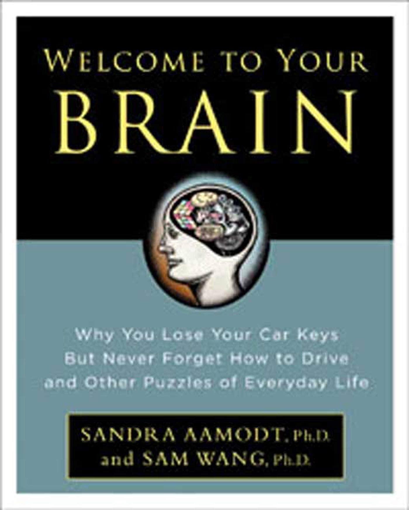Welcome To Your Brain: Why You Lose Your Car Keys But Never Forget How To Drive And Other Puzzles Of Everyday Life