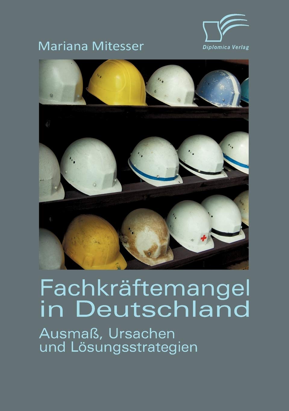 Fachkrftemangel in Deutschland: Ausma, Ursachen und Lsungsstrategien (German Edition),Used