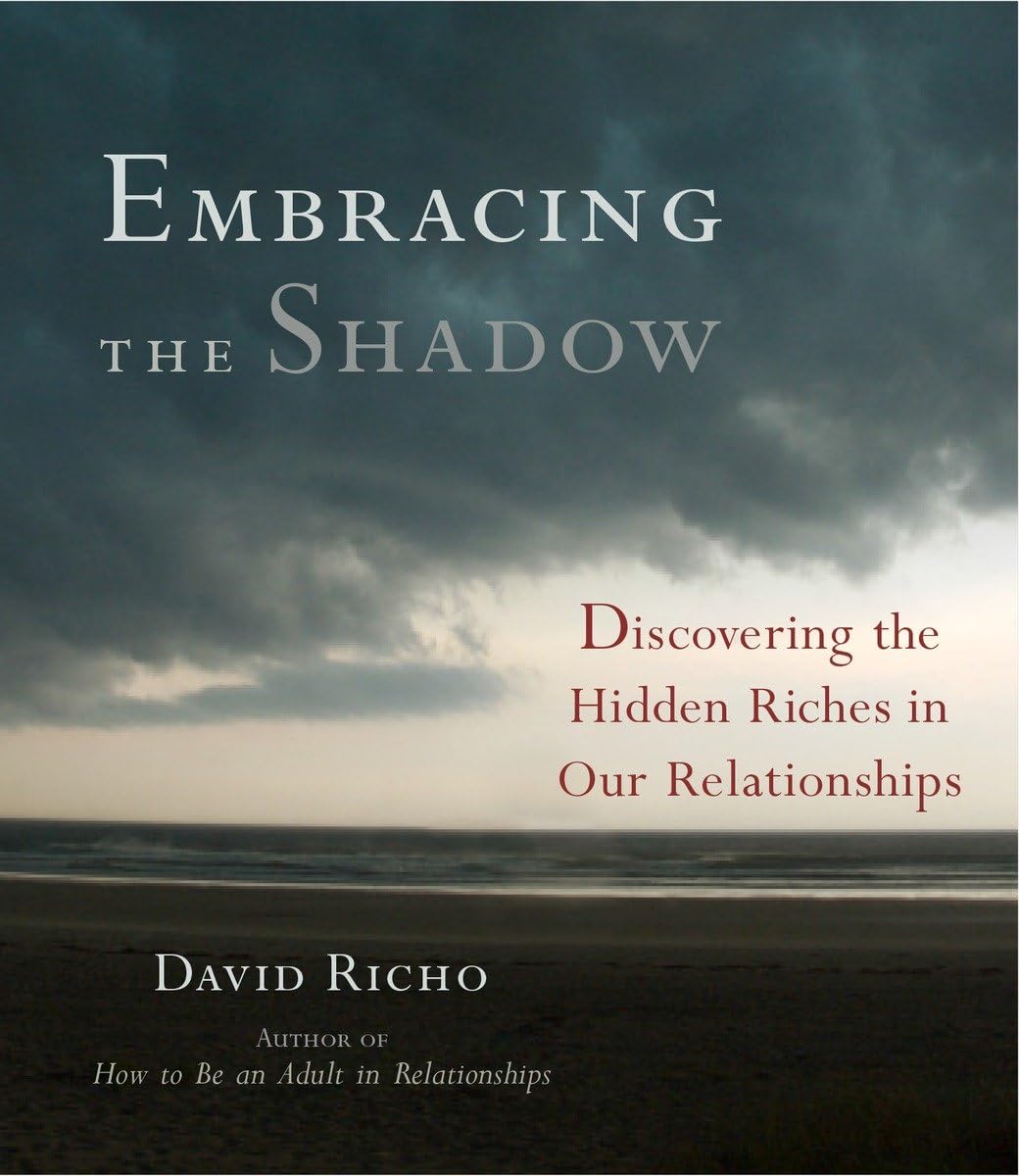 Embracing the Shadow: Discovering the Hidden Riches in Our Relationships,Used