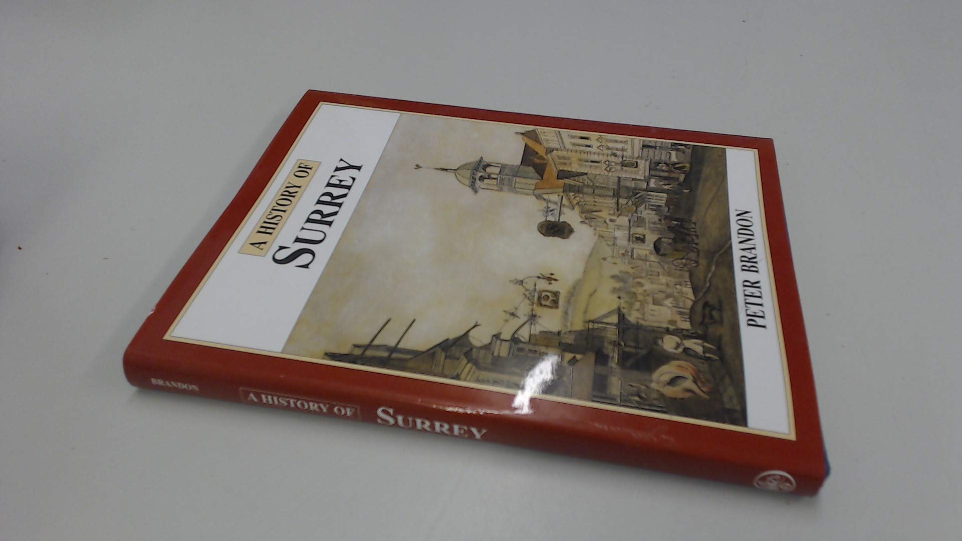 A History of Surrey,Used