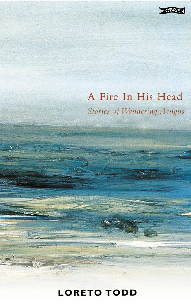 A Fire In His Head: The Adventures Of Wandering Aengus,New