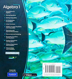 HIGH SCHOOL MATH 2011 ALGEBRA 1(PRENTICE HALL) STUDENT EDITION,New