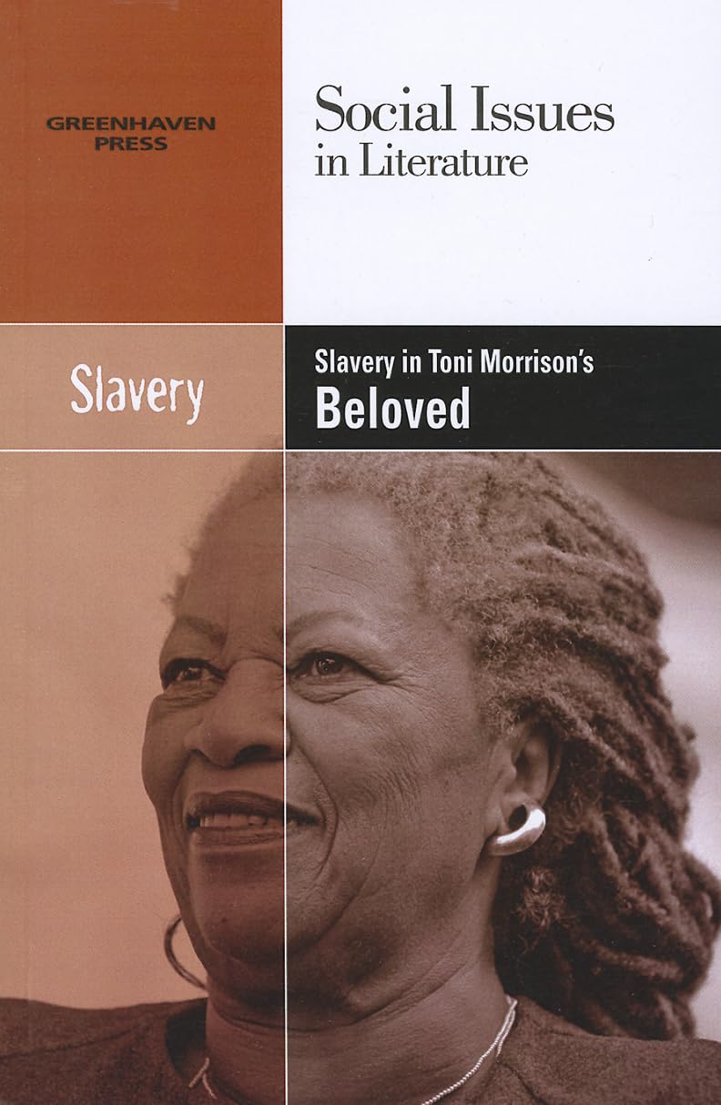 Slavery in Toni Morrison's Beloved (Social Issues in Literature),Used