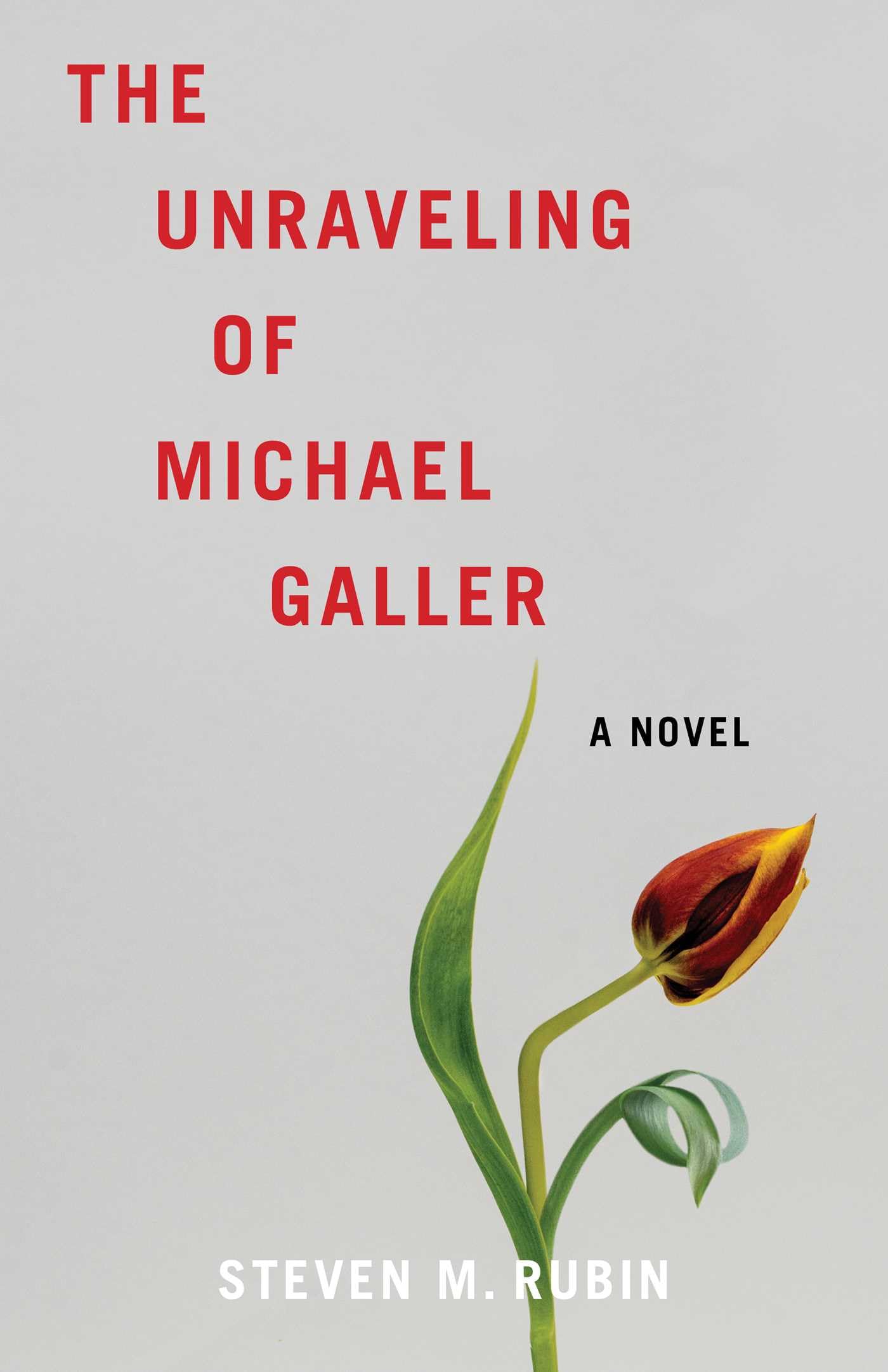 The Unraveling Of Michael Galler: A Novel