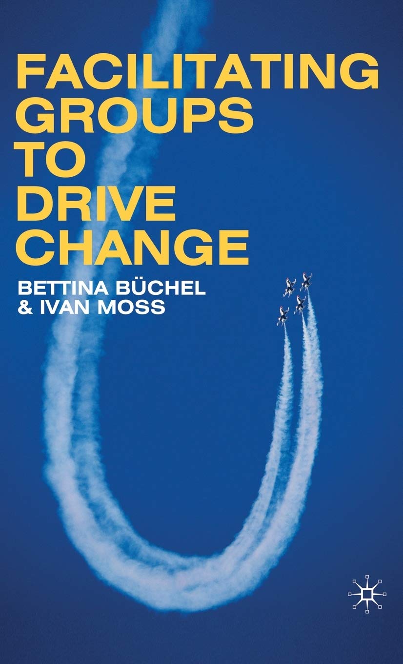Facilitating Groups To Drive Change,Used