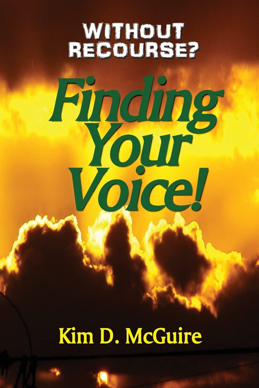 Without Recourse? Finding Your Voice!,Used