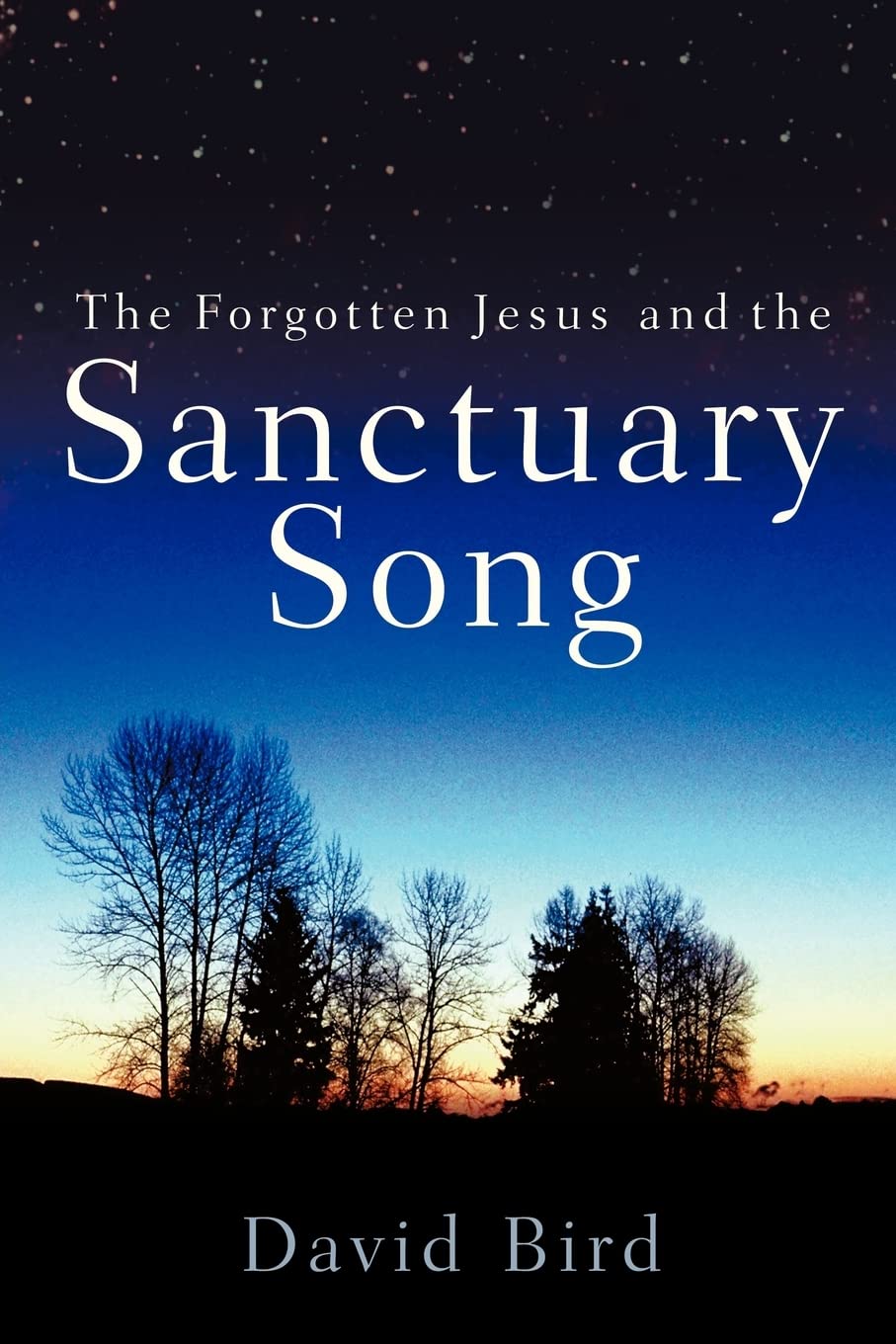 The Forgotten Jesus and the Sanctuary Song,Used