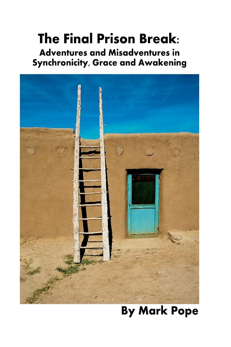 The Final Prison Break: Adventures and Misadventures in Synchronicity, Grace and Awakening,Used