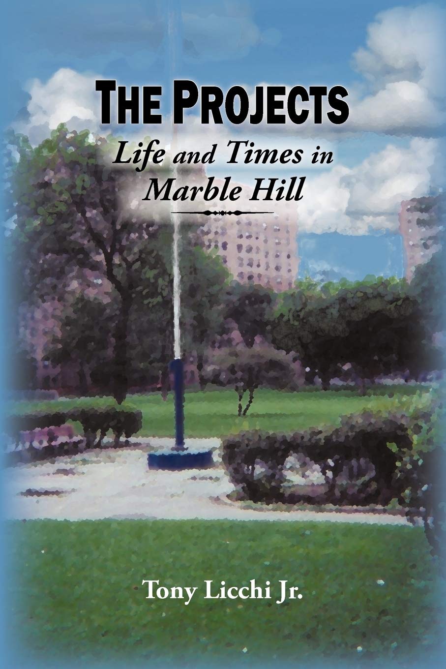 The Projects: Life And Times In Marble Hill,Used