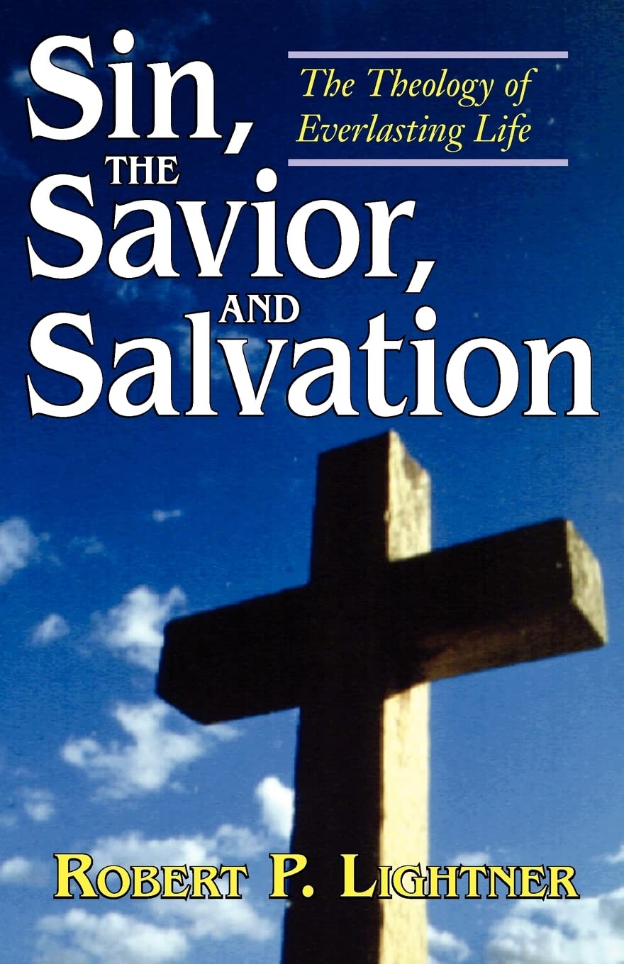 Sin, the Savior, and Salvation: The Theology of Everlasting Life,Used