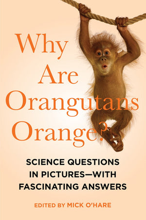 Why Are Orangutans Orange?,Used