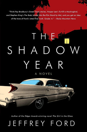 The Shadow Year: A Novel,Used