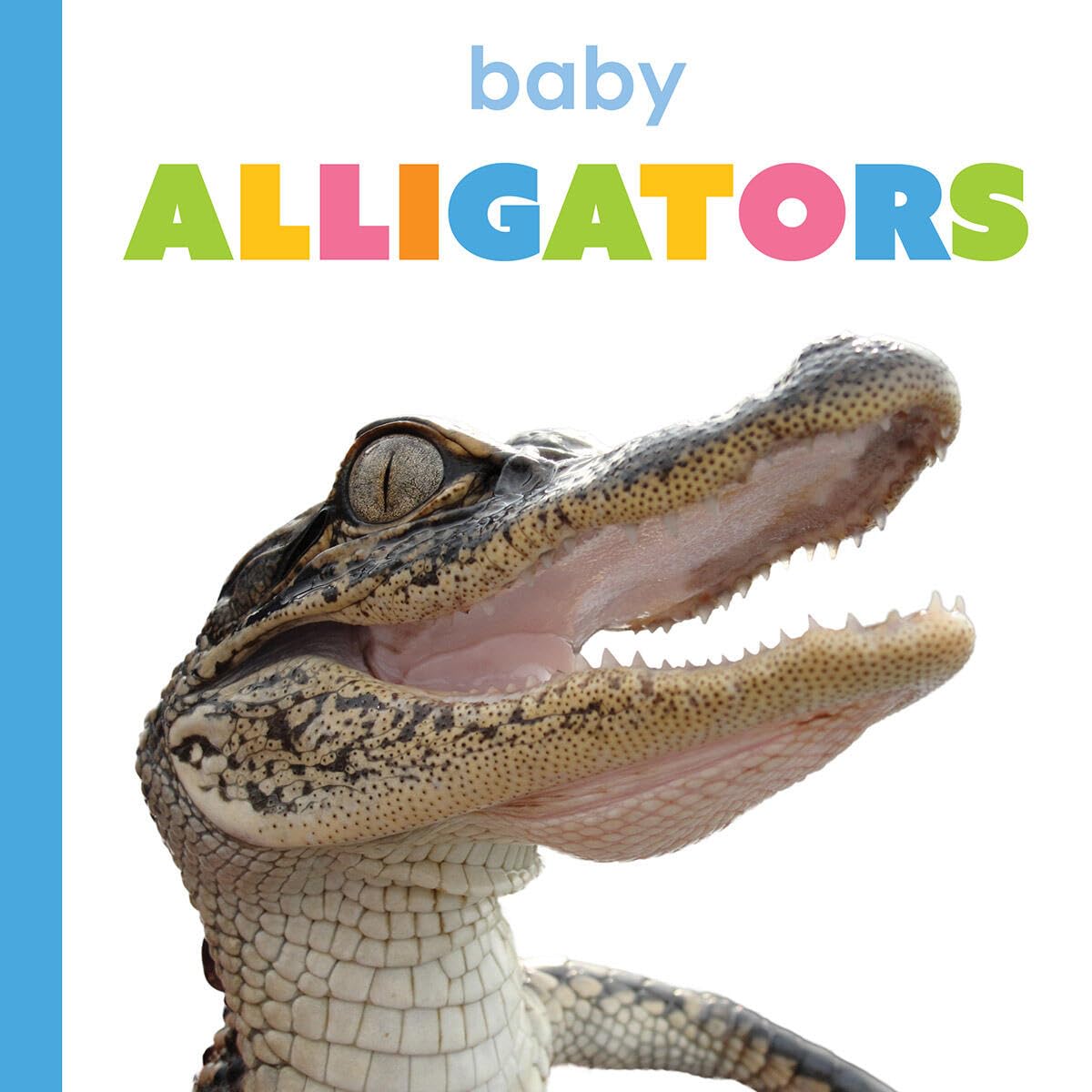 Baby Alligators (Starting Out)