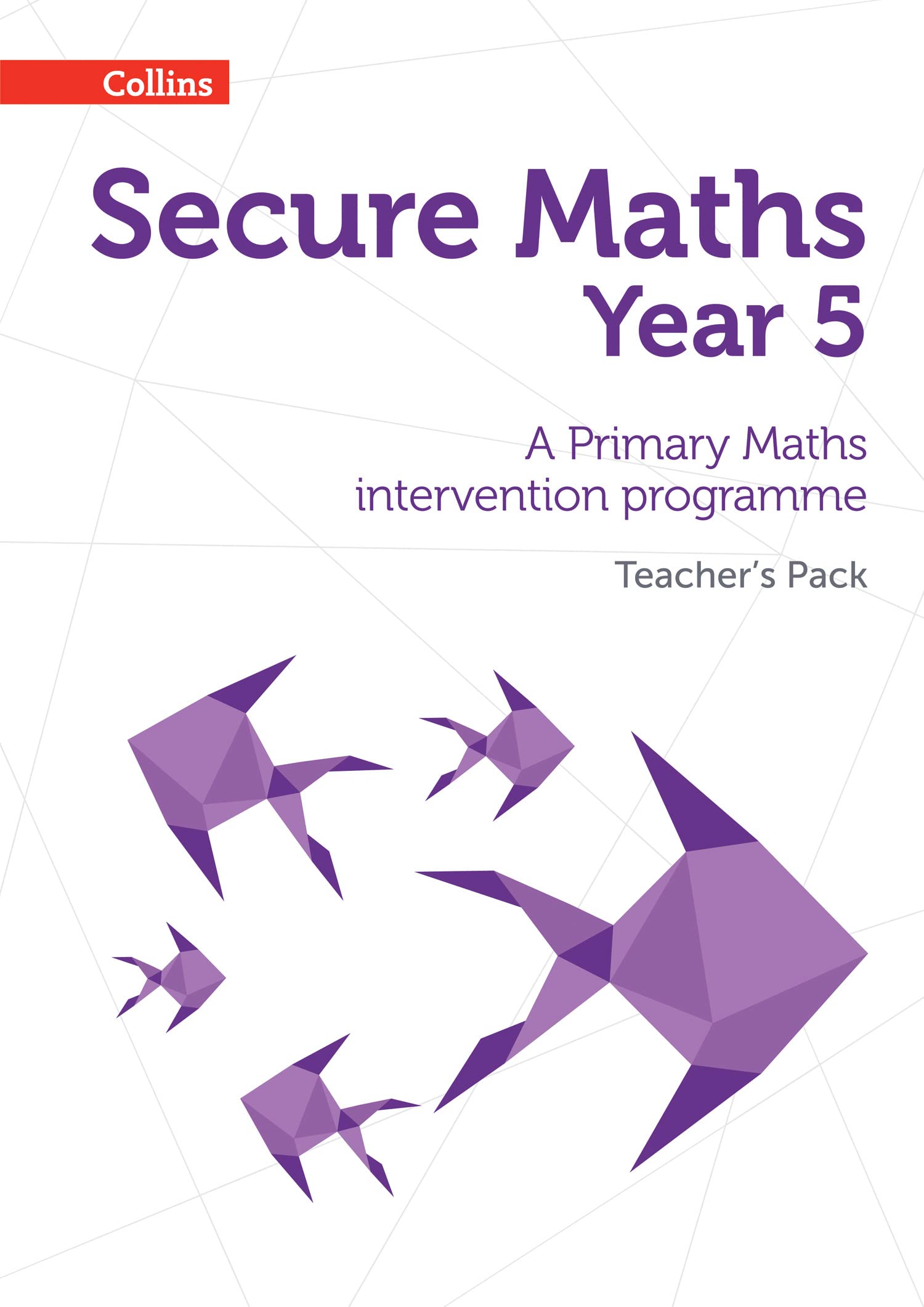 Secure Maths  Secure Year 5 Maths Teachers Pack: A Primary Maths Intervention Programme