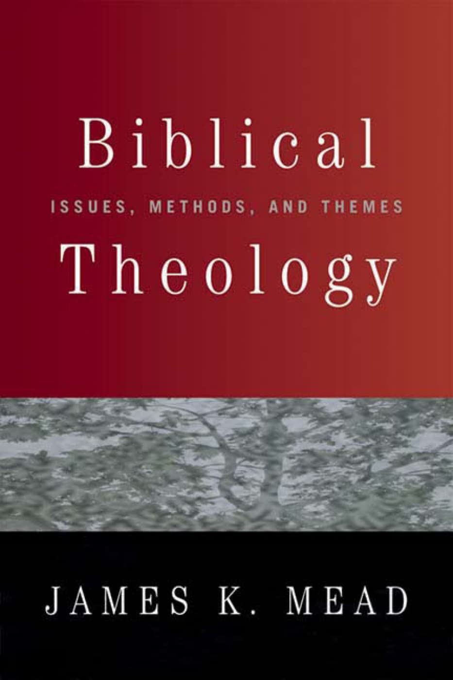 Biblical Theology: Issues, Methods, and Themes,Used