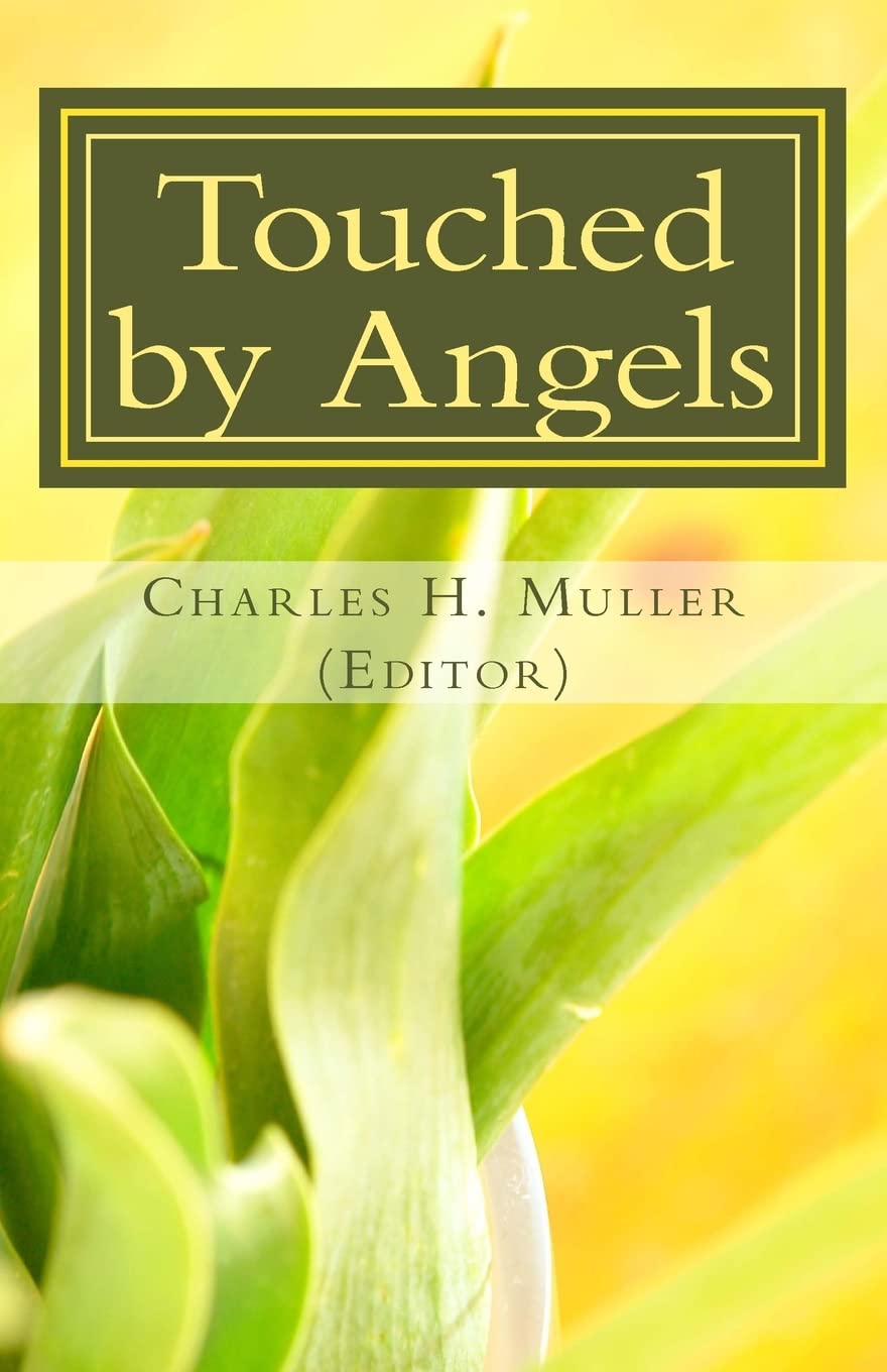 Touched By Angels: Testimonies Of Christian Power,Used