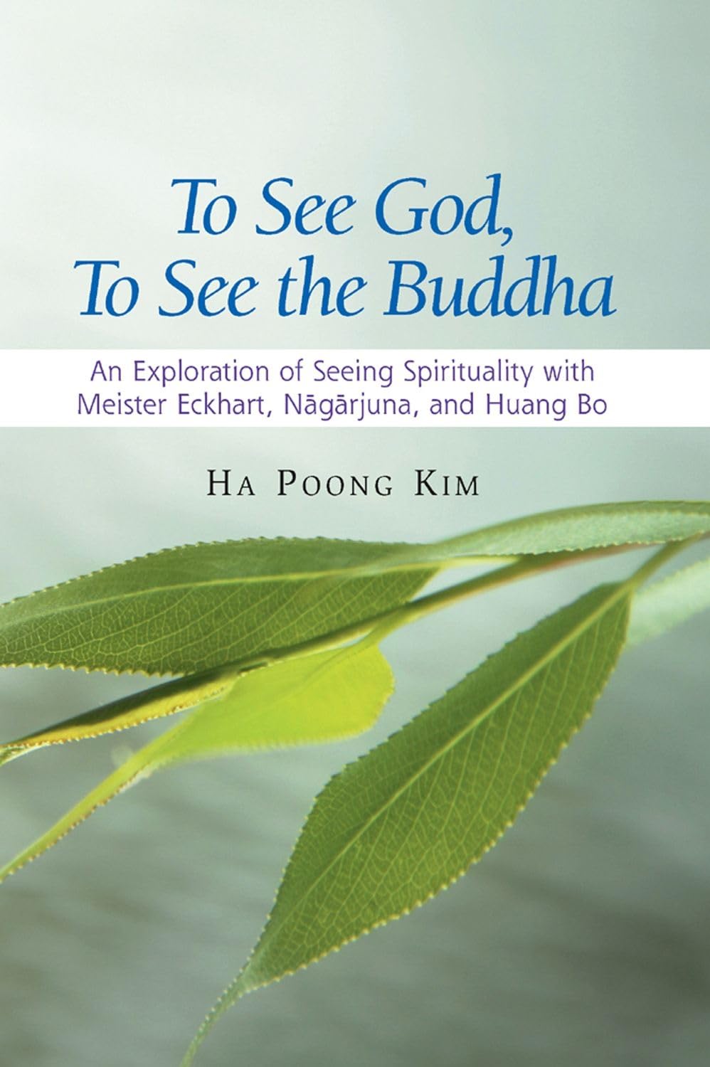 To See God, To See the Buddha: An Exploration of Seeing Spirituality with Meister Eckhart, Nagarjuna, and Huang Bo,Used