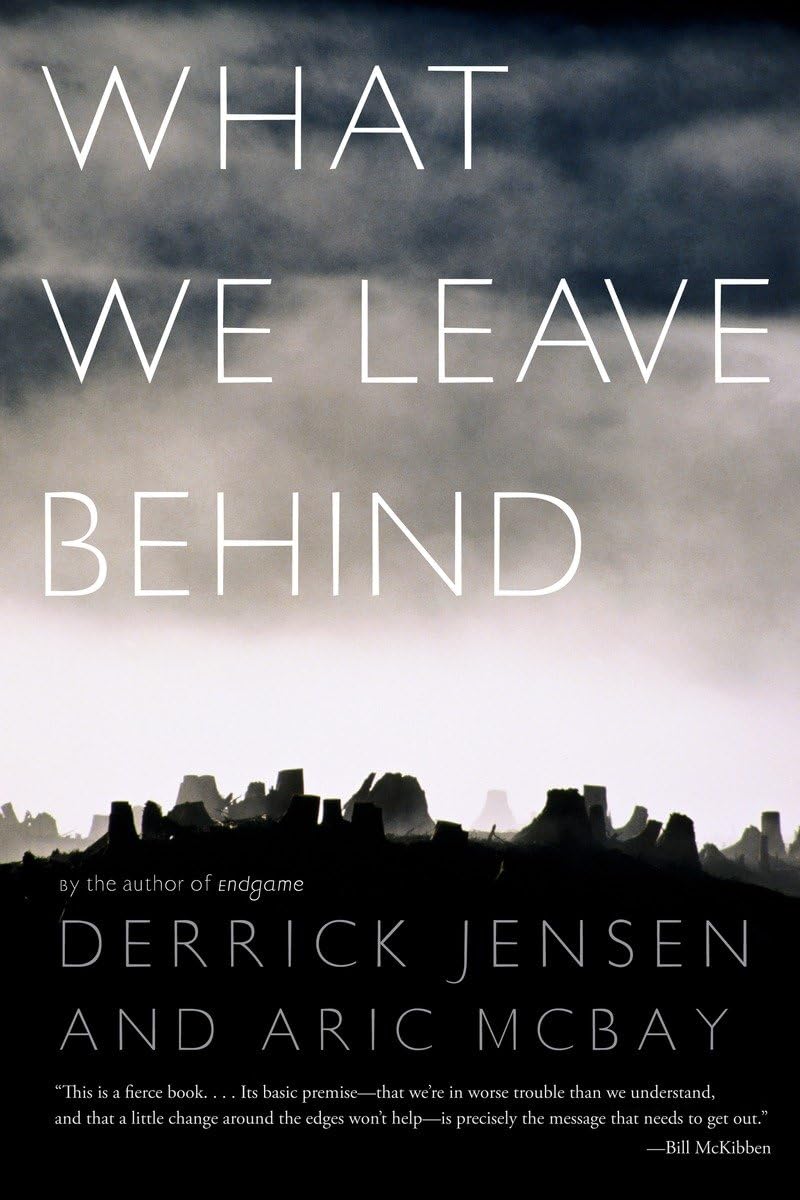 What We Leave Behind,Used