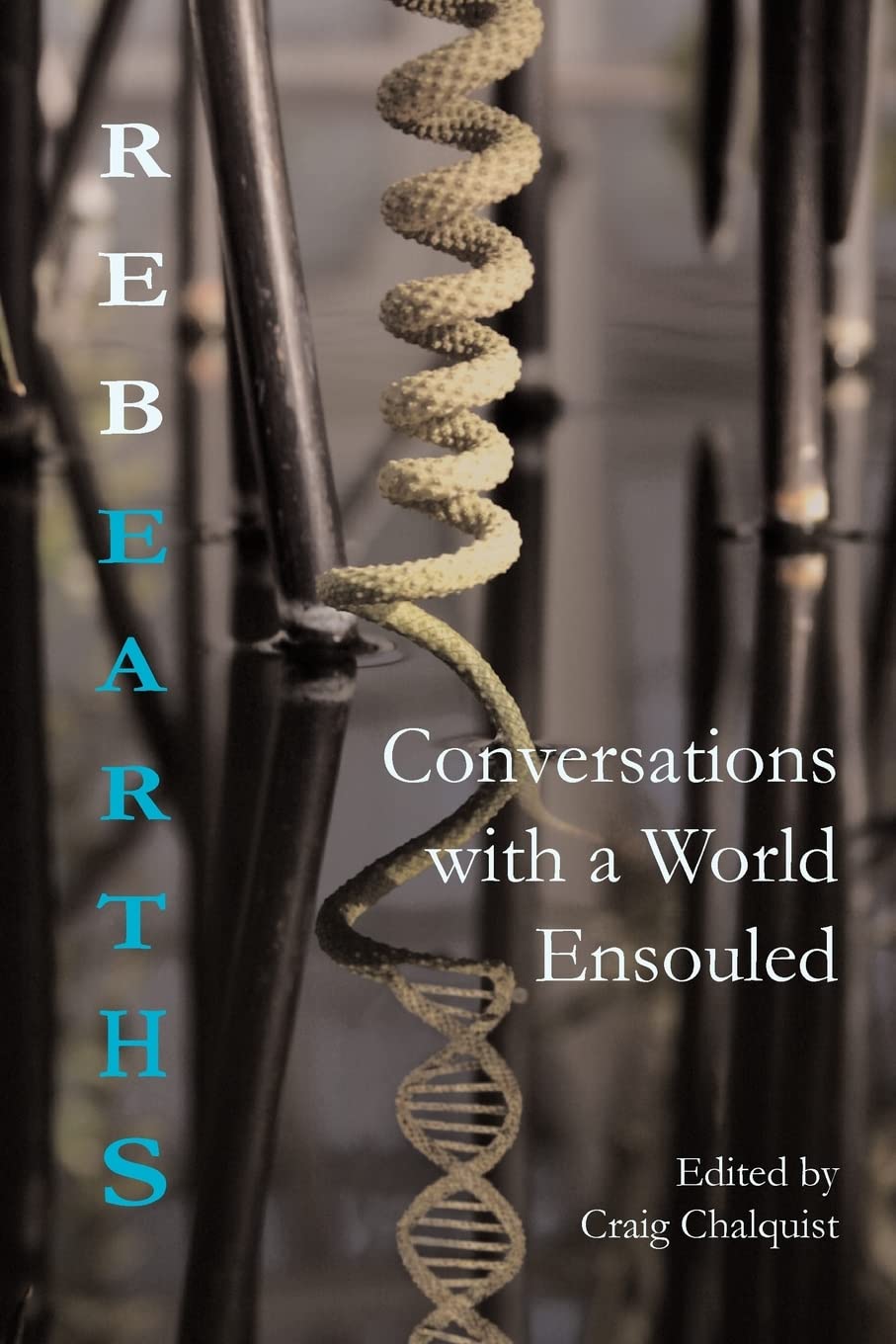 Rebearths: Conversations With A World Ensouled-new
