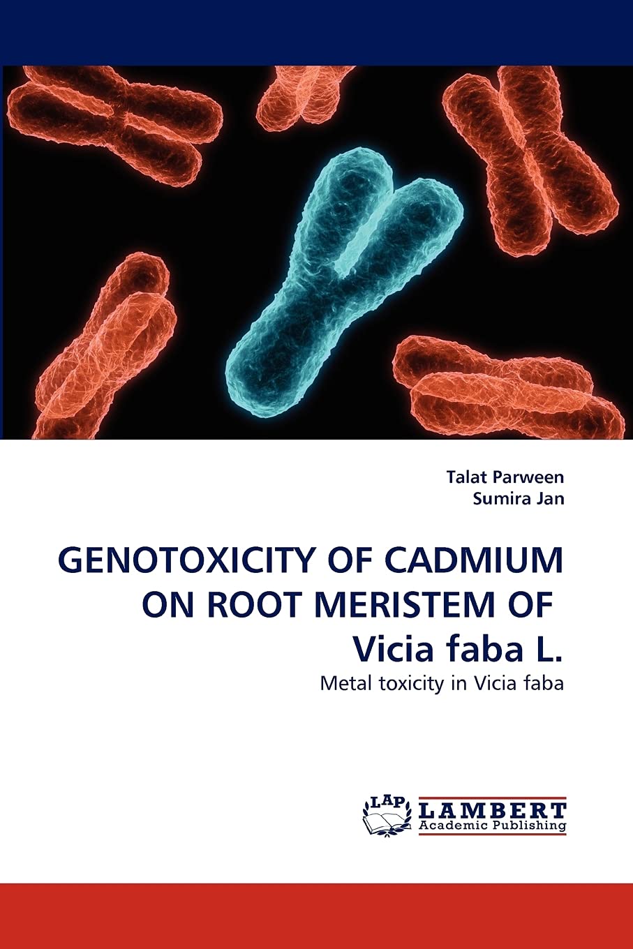 GENOTOXICITY OF CADMIUM ON ROOT MERISTEM OF Vicia faba L.: Metal toxicity in Vicia faba,Used