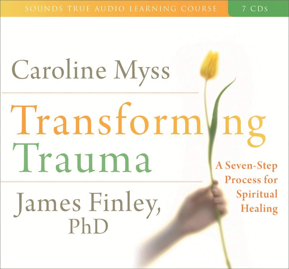 Transforming Trauma: A SevenStep Process for Spiritual Healing,Used