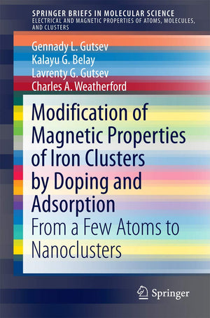 Modification of Magnetic Properties of Iron Clusters by Doping and Adsorption: From a Few Atoms to Nanoclusters (SpringerBriefs ,Used