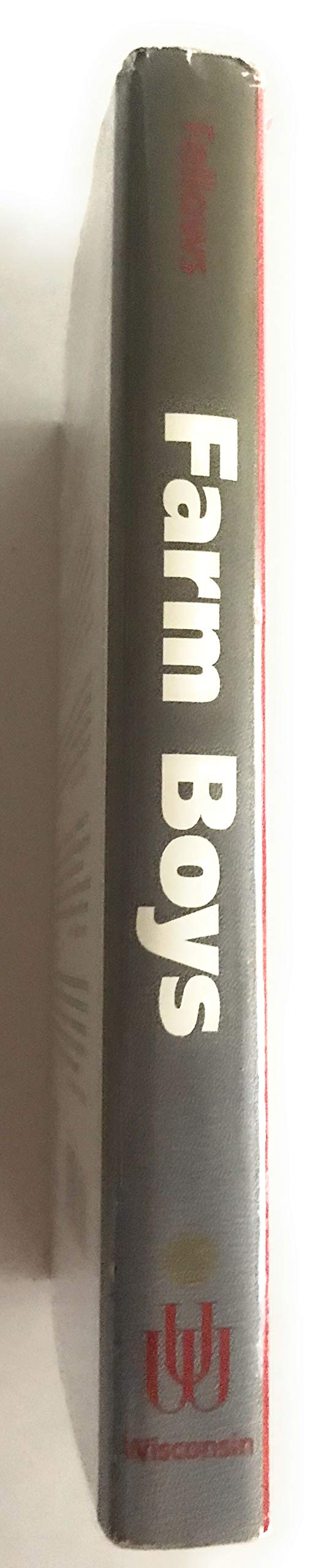 Farm Boys: Lives of Gay Men from the Rural Midwest,Used