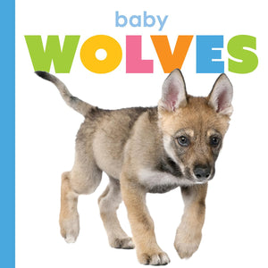 BABY WOLVES